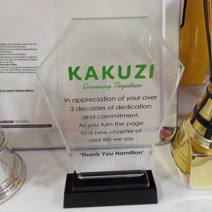 Branded corporate trophies with messag