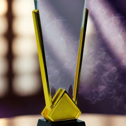 Customsed trophy in nairobi kenya